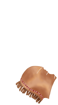 Adoptiere einen Frettchen Pâkœuf