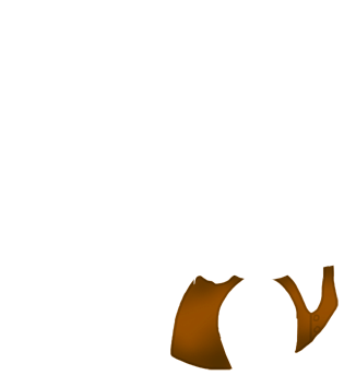 Adoptiere einen Frettchen Okami