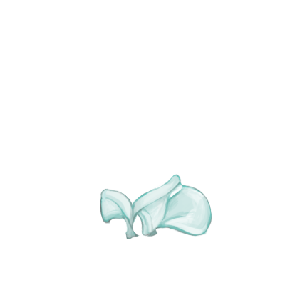 Adoptiere einen Kaninchen Osterhase