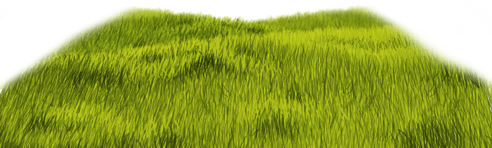 Grünes gras