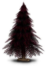 Weihnachtsbaum