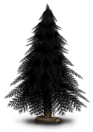 Weihnachtsbaum