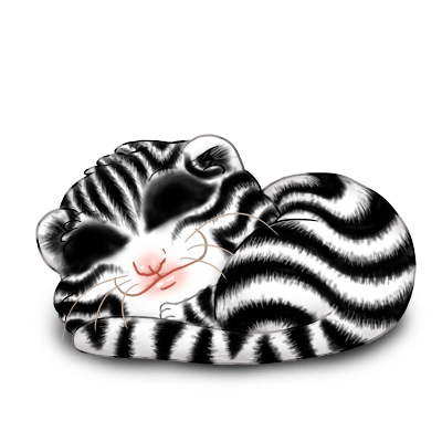 Adoptiere einen Frettchen Zebra