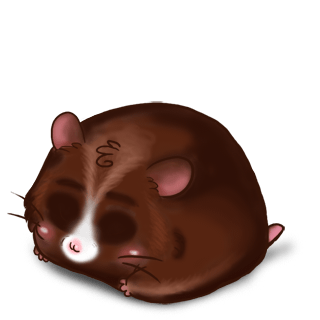 Adoptiere einen Hamster Choco