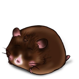 Adoptiere einen Hamster Schokolade