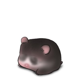 Adoptiere einen Hamster Cromimi