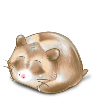 Adoptiere einen Hamster Nougat