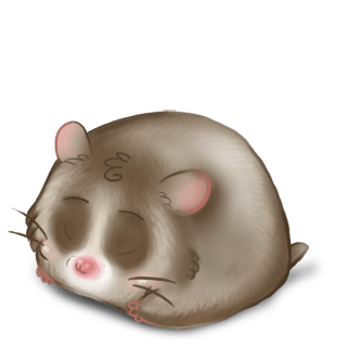 Adoptiere einen Hamster Rock