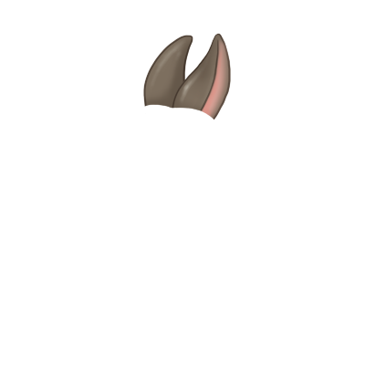 Adoptiere einen Kaninchen Siamese