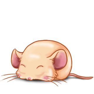 Adoptiere einen Maus Choco
