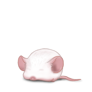 Adoptiere einen Maus Weiß