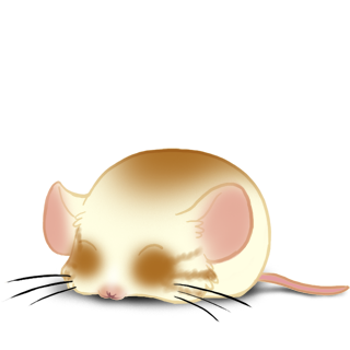 Adoptiere einen Maus Picoudi