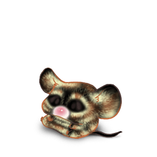 Adoptiere einen Maus Bounette
