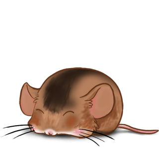 Adoptiere einen Maus Goldbeige