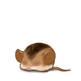 Adoptiere einen Maus Kastanie