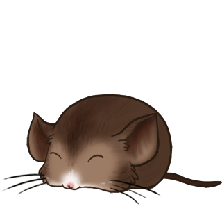 Adoptiere einen Maus Fledermaus