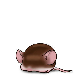 Adoptiere einen Maus Schokolade