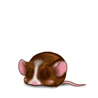 Adoptiere einen Maus Milchschokolade