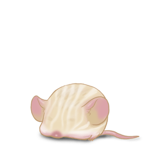 Adoptiere einen Maus Creme