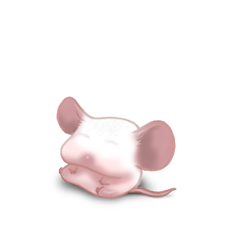 Adoptiere einen Maus Albino
