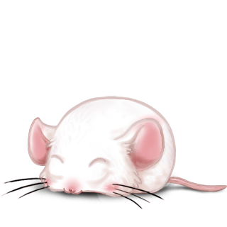 Adoptiere einen Maus Albino