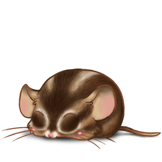 Adoptiere einen Maus Fledermaus