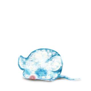 Adoptiere einen Maus Eis
