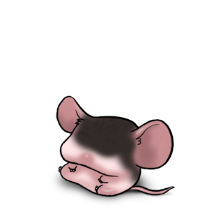Adoptiere einen Maus Schwarz