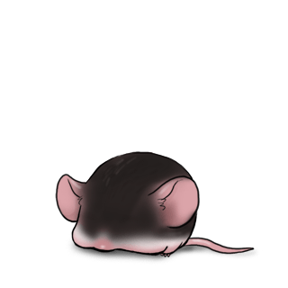 Adoptiere einen Maus Schwarz