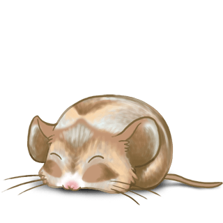 Adoptiere einen Maus Flunsh