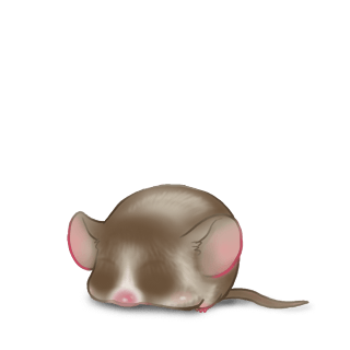 Adoptiere einen Maus Cromimi