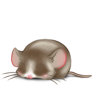 Adoptiere einen Maus Chinesisch