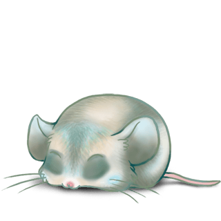 Adoptiere einen Maus Ronard