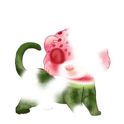 Adoptiere einen Frettchen Wassermelone