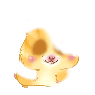 Adoptiere einen Hamster Sonne