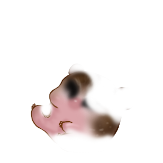 Adoptiere einen Hamster Creme