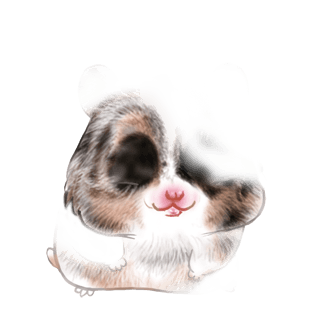 Adoptiere einen Hamster China