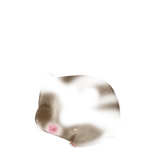 Adoptiere einen Hamster Schnee