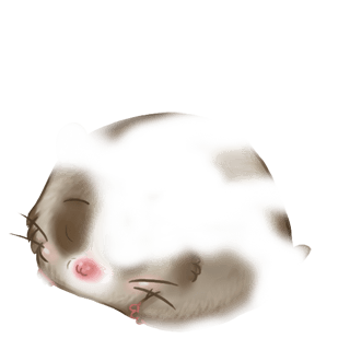 Adoptiere einen Hamster Cromimi