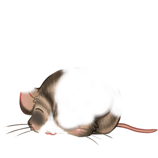Adoptiere einen Maus Silber
