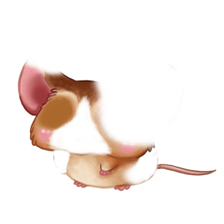 Adoptiere einen Maus Kastanie