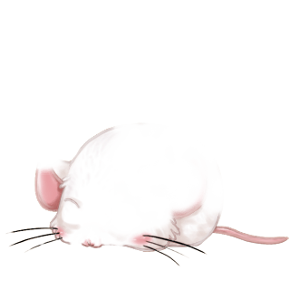 Adoptiere einen Maus Schwarz und weiß