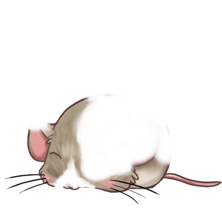 Adoptiere einen Maus Pistazie