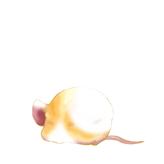 Adoptiere einen Maus Creme