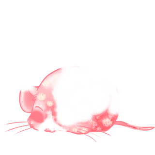 Adoptiere einen Maus Praline