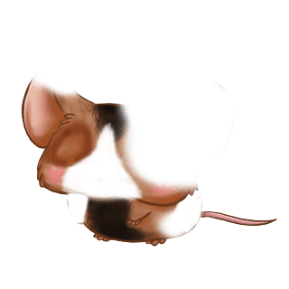 Adoptiere einen Maus Liebe