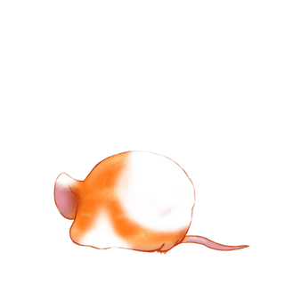 Adoptiere einen Maus Iona