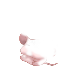 Adoptiere einen Maus 