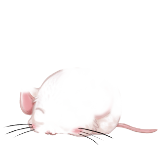 Adoptiere einen Maus Choco