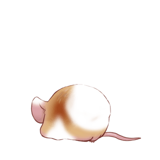 Adoptiere einen Maus Klassische Aprikose